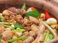 -天宝食坊·啫啫煲大排档(西华路店)