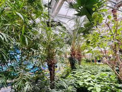 -南宫五洲植物乐园