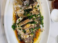 -金海湾海鲜排档(朱家尖店)