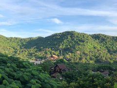 -海南槟榔谷黎苗文化旅游区