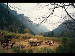 -中影国际影城(西溪印象城CINITYLED店)