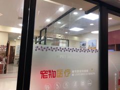 -艾贝尔宠物诊疗