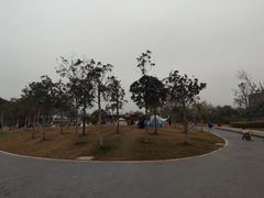 -宝安西湾红树林湿地公园