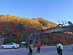 -龙道沟景区