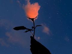 -要得自助火锅(新川路店)