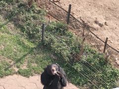 -无锡动物园·太湖欢乐园