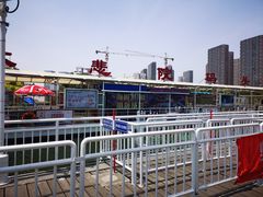 -海河游船-永乐码头(大悲院)