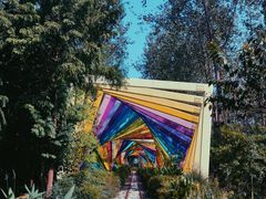 -合肥滨湖国家森林公园