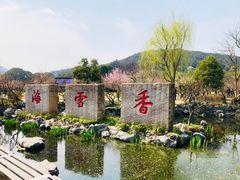 门面-香雪海
