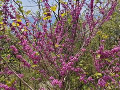-天台山赤城山景区