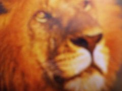 -甲乙果 美术书法(通州校区)