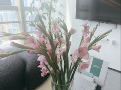 -JNK皮肤管理中心