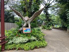 -新加坡飞禽公园