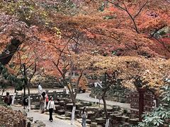 -虞山风景区