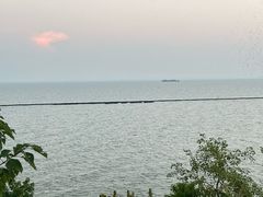-巢湖名吃·东关老鹅汤(江南风情街店)
