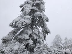 -瓦屋山景区