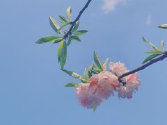 -砂之船奥莱(南京江宁店)