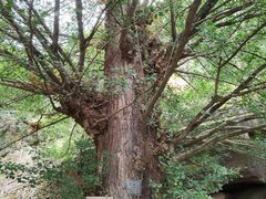 -大慈岩风景区