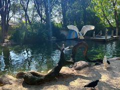 -费瑟代尔野生动物园