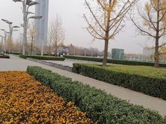 秋日外景-小吊梨汤·北京菜·烤鸭(鸟巢店)