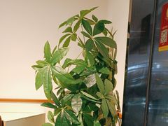 -骨之味·筒骨汤火锅(晋江万达店)