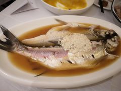 酒糟蒸白水鱼-老人和饭店(淮海中路店)