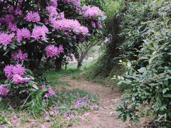 -名花谷生态庄园