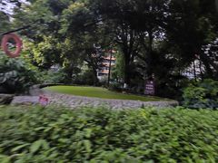 -成都市活水公园