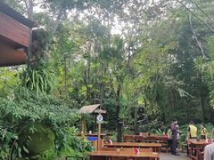-绿光森林餐厅