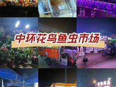 -中环花鸟鱼虫市场