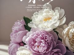 -葛莉丝·美容足道