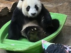 -海南热带野生动植物园