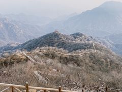 -大岭沟猕猴桃谷风景区