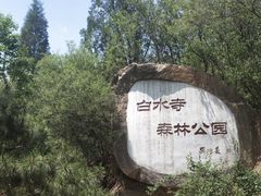 -白水寺森林公园