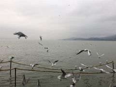 -云南滇池花园国际大酒店温泉