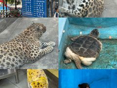 -攀枝花公园