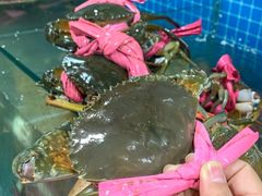 -辣螃铠盆盆蟹大排档(总店)