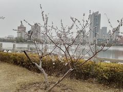 -迎泽公园