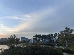 -上海植物园-4号门售票处