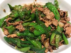 -壹盏灯(惠农店)