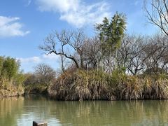 -西溪国家湿地公园