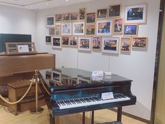 -柏斯琴行(汾阳店)