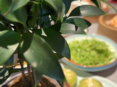 -晋江荣誉国际酒店·港誉茶餐厅