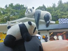 -重庆动物园·东二门售票处