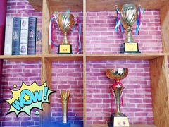 -津武堂散打搏击俱乐部(河西店)
