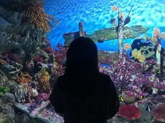 -暹罗海洋世界