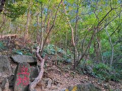 -紫金山山顶公园