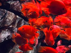 -波塞冬旅游度假区