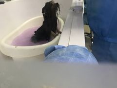 -宠颐生中康贝怡动物医院