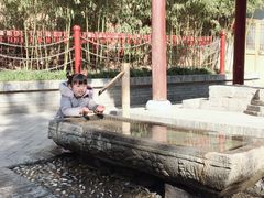 -西安曲江寒窑遗址公园